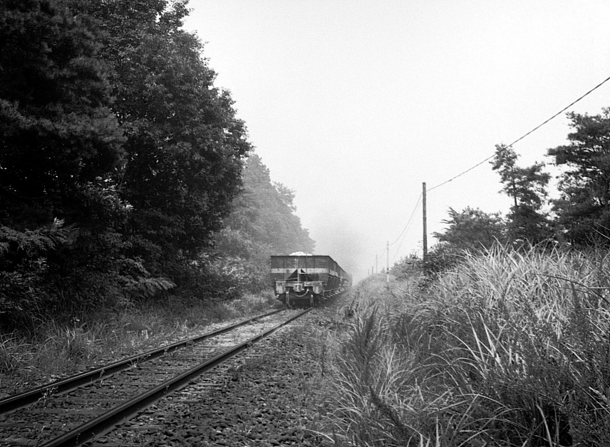 鉄道写真