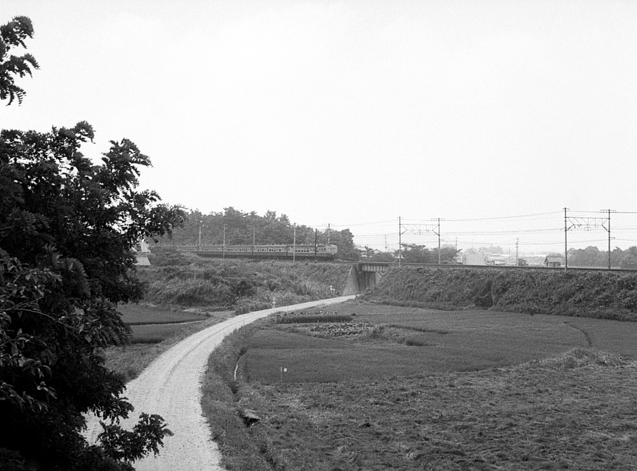 名古屋鉄道 福岡線（廃）　東若松－西若松