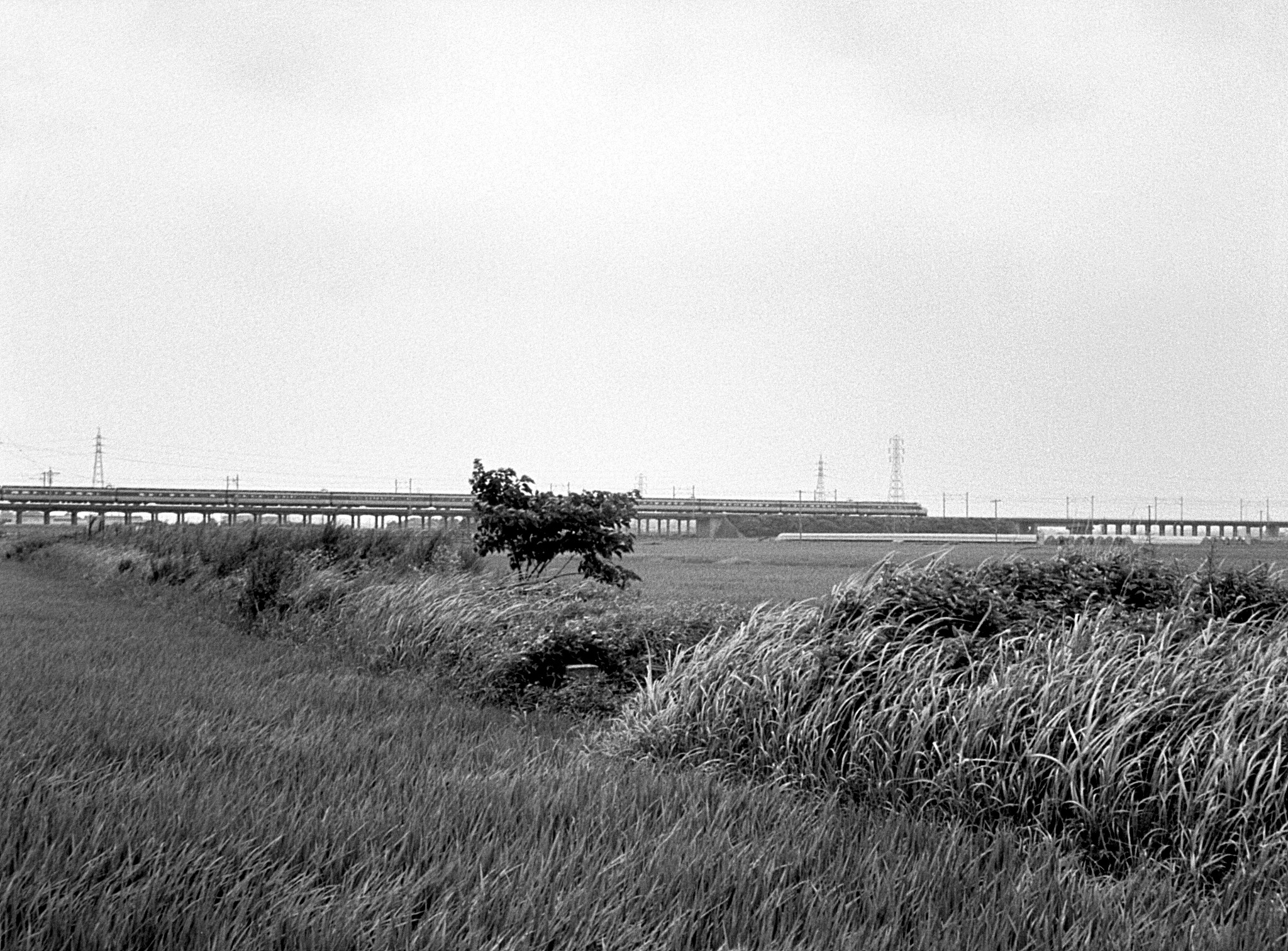 名古屋鉄道 西尾線（廃）　土呂－三河中島