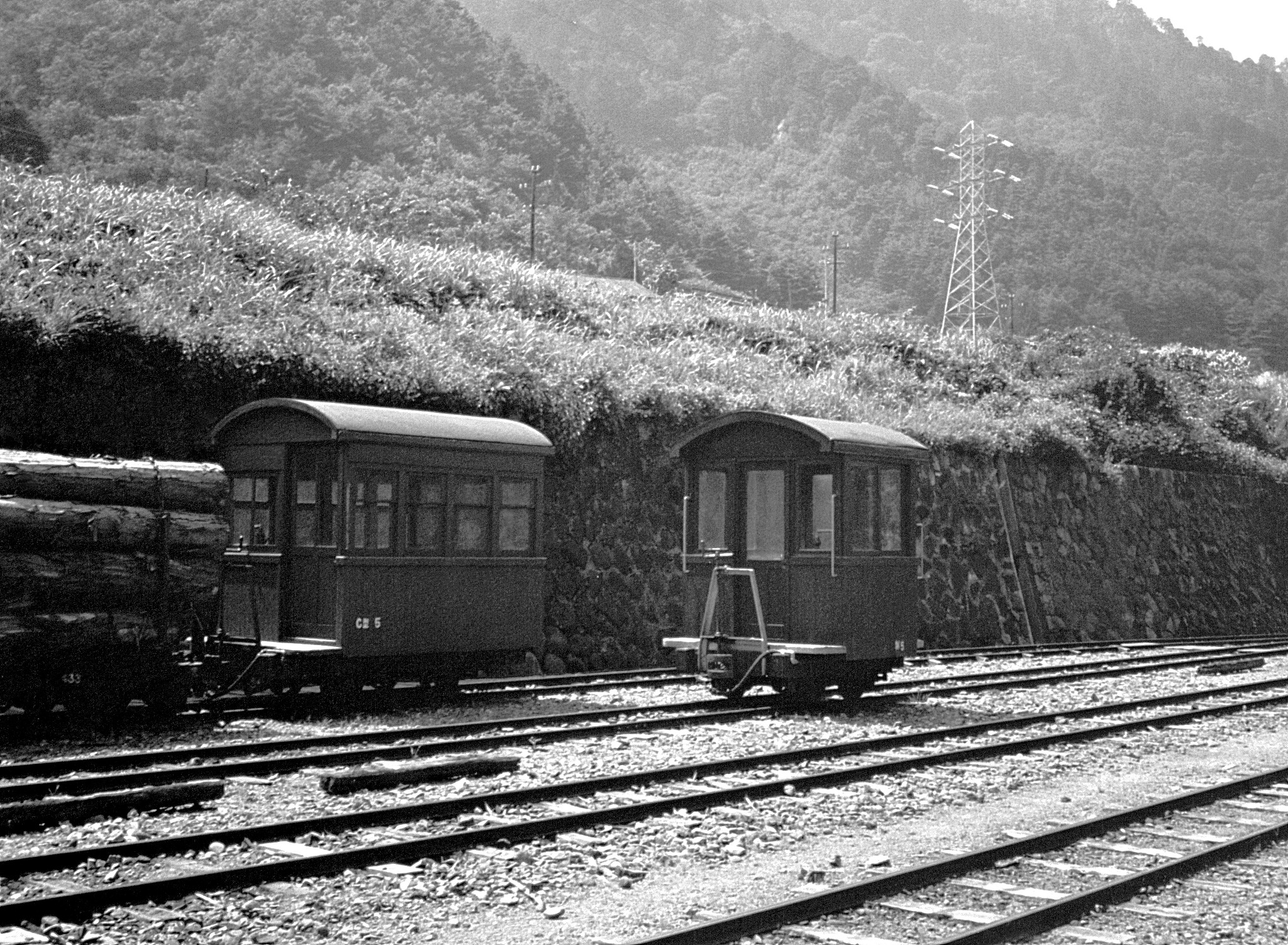 木曽森林鉄道（王滝）　鬼淵